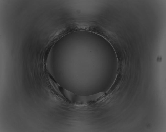 X0000091541394200708311322