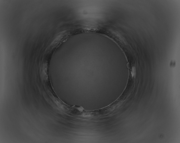 X0000091541396200708311322