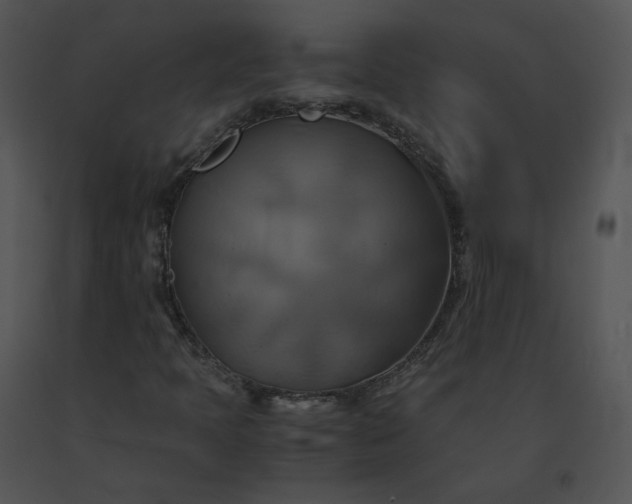 X0000091541397200708311322