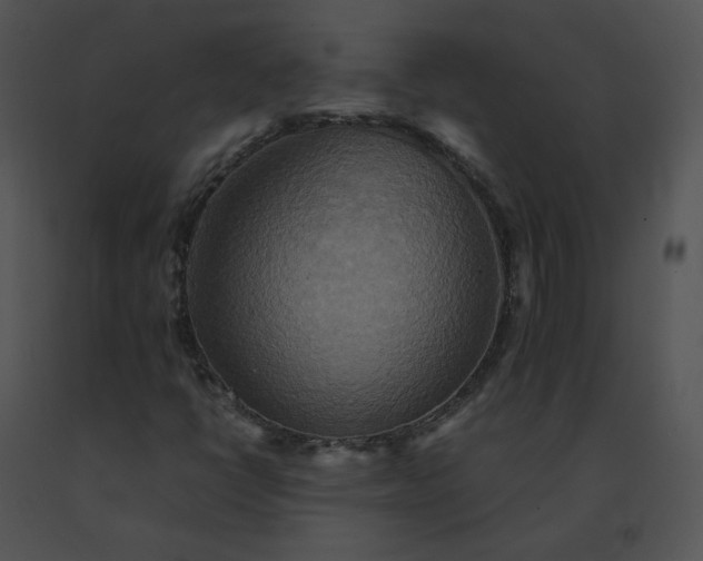X0000091541398200708311322