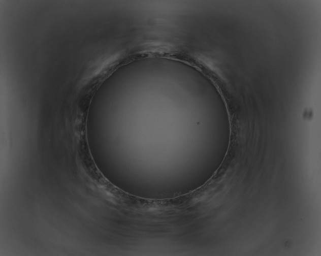 X0000091541399200708311322