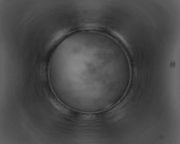 X0000091541403200708311322