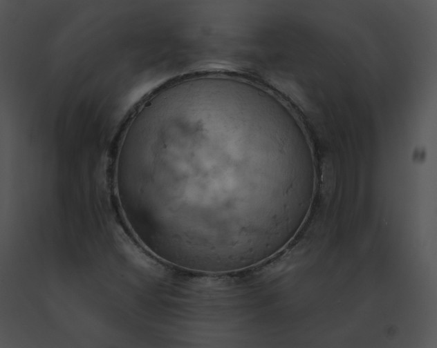 X0000091541404200708311322
