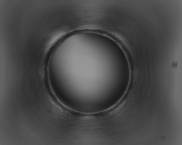 X0000091541406200708311322