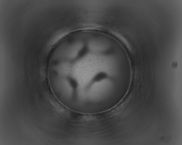 X0000091541407200708311322