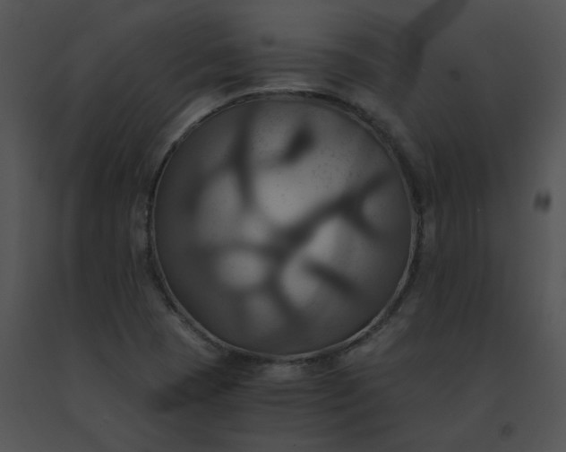 X0000091541409200708311322