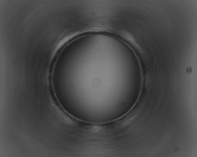 X0000091541412200708311322