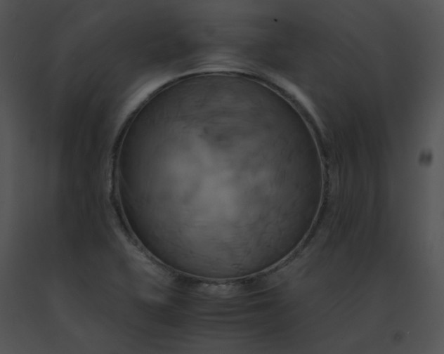 X0000091541415200708311322