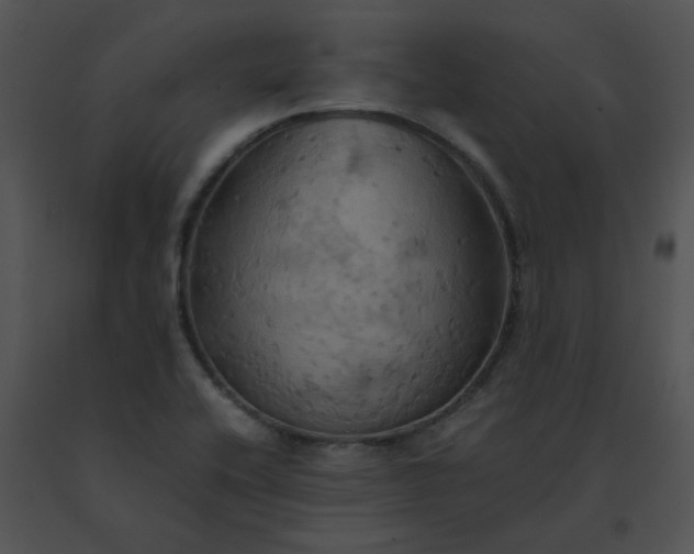 X0000091541416200708311322