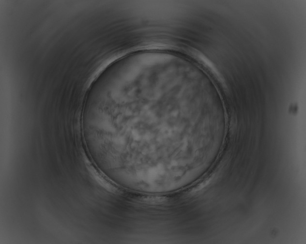 X0000091541417200708311322