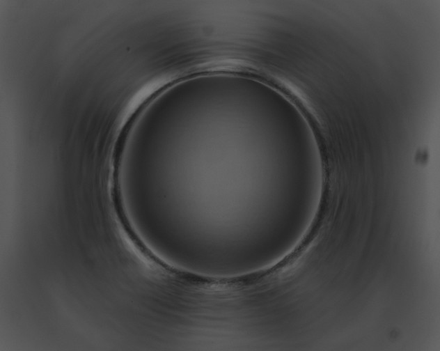 X0000091541418200708311322