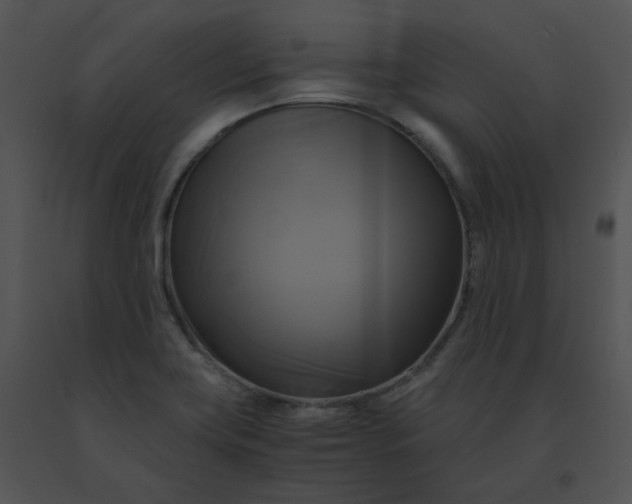X0000091541419200708311322