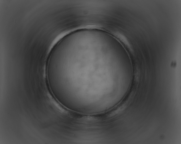 X0000091541420200708311322