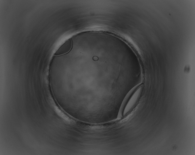 X0000091541421200708311322