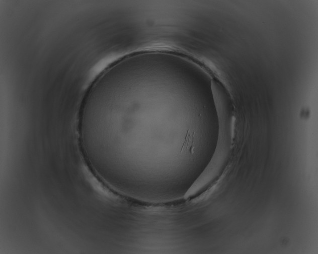 X0000091541422200708311322