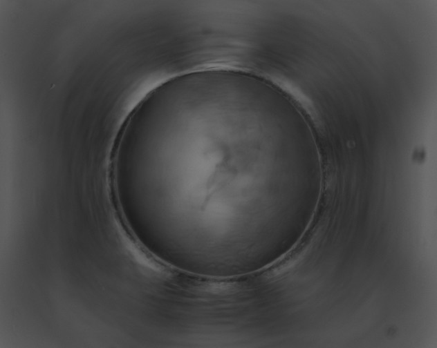 X0000091541423200708311322