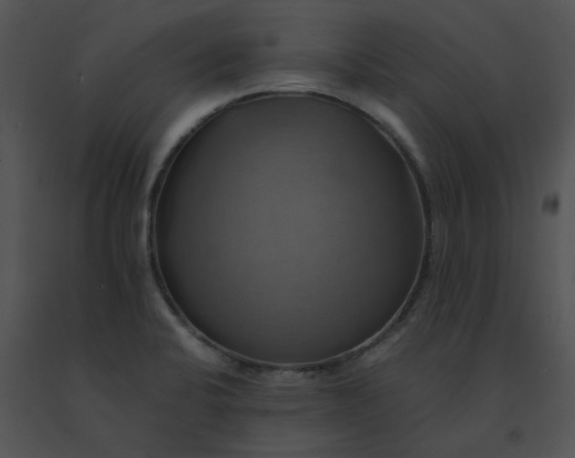 X0000091541424200708311322