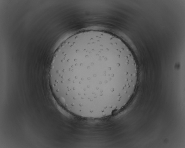 X0000091541425200708311322