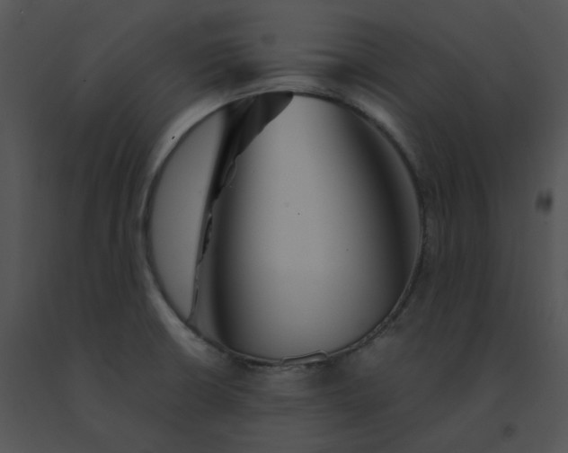 X0000091541426200708311322
