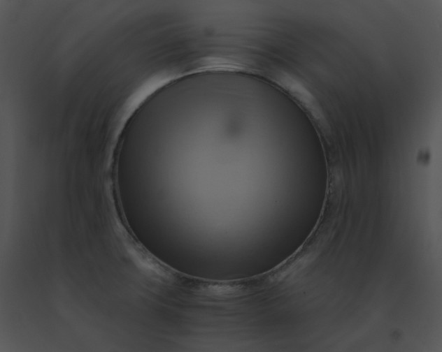 X0000091541427200708311322