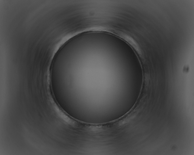 X0000091541428200708311322