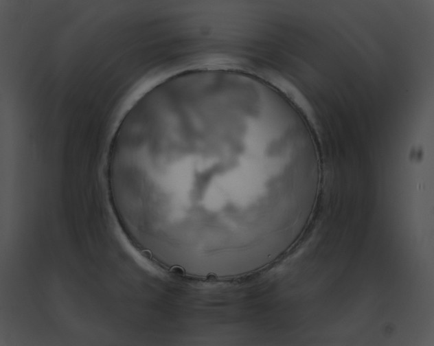 X0000091541429200708311322