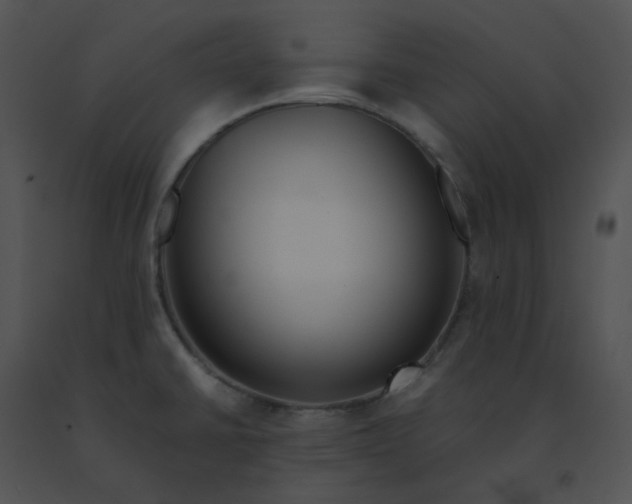 X0000091541430200708311322