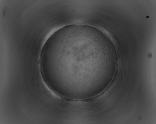 X0000091541432200708311322