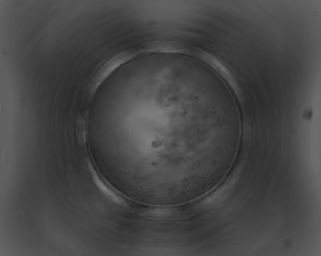 X0000091541433200708311322