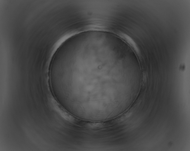 X0000091541435200708311322