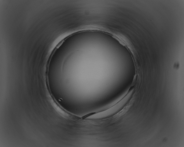 X0000091541438200708311322