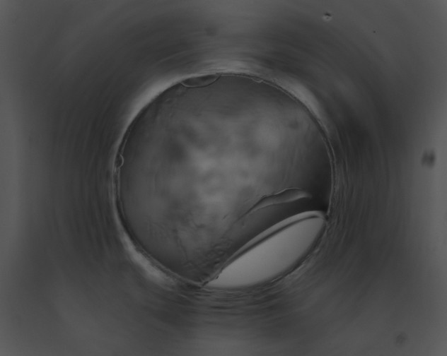 X0000091541439200708311322