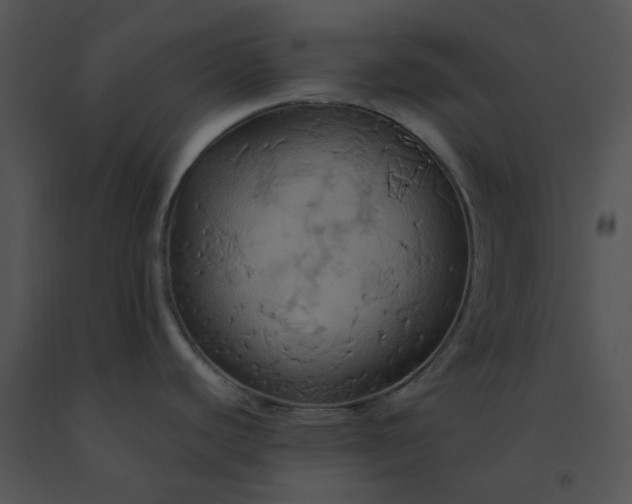 X0000091541440200708311322