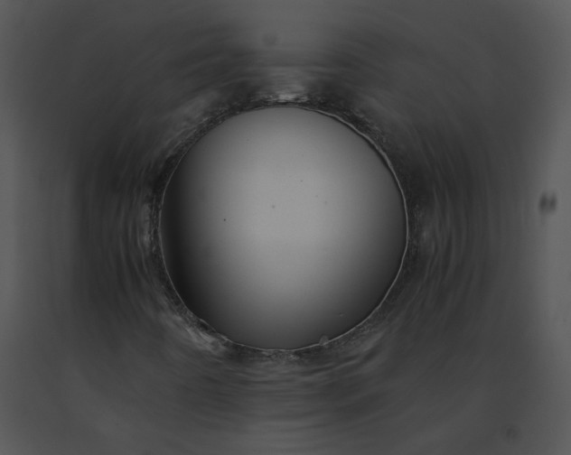 X0000091541442200708311322