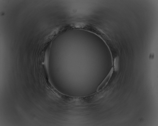 X0000091541443200708311322