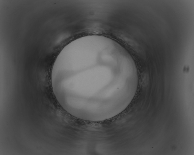 X0000091541446200708311322