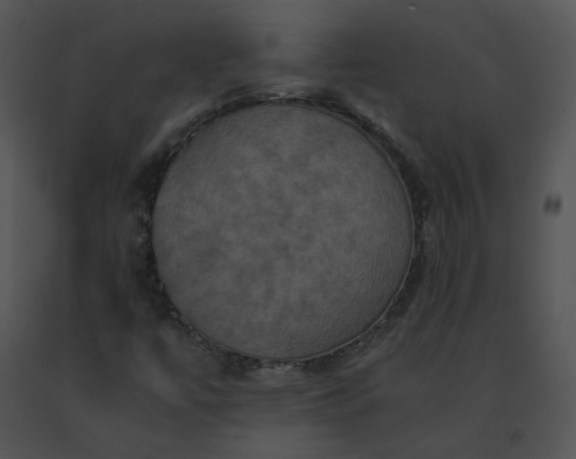 X0000091541447200708311322