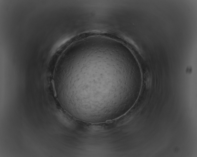 X0000091541448200708311322