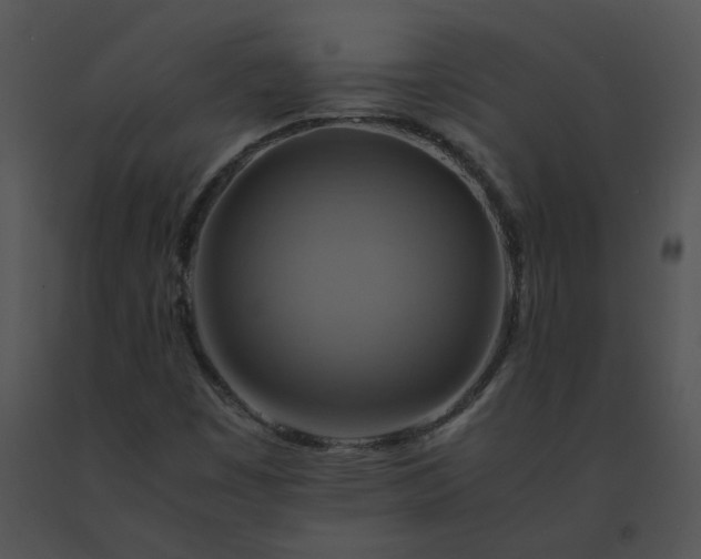 X0000091541449200708311322