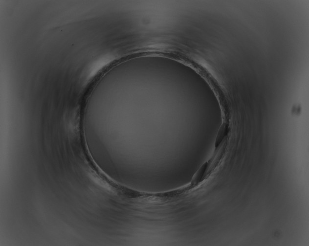 X0000091541450200708311321