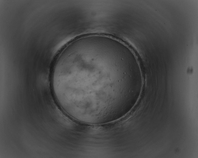 X0000091541452200708311321
