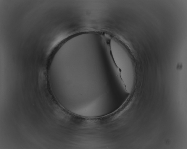 X0000091541453200708311321
