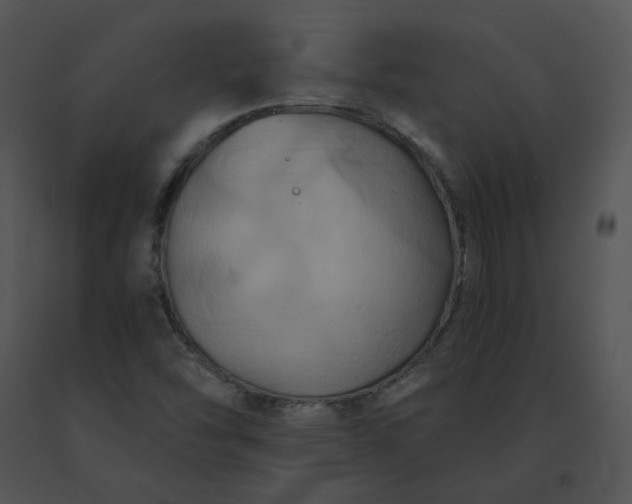 X0000091541454200708311321