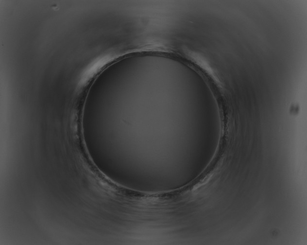 X0000091541455200708311321