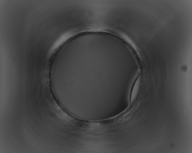 X0000091541456200708311321