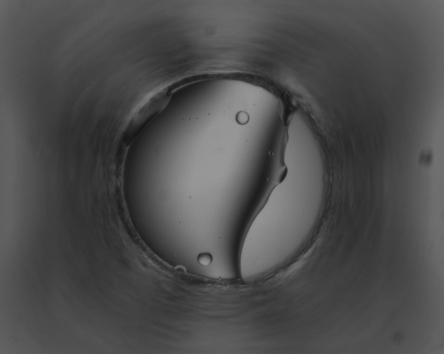 X0000091541457200708311321