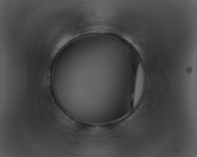 X0000091541459200708311321