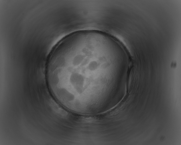 X0000091541460200708311321