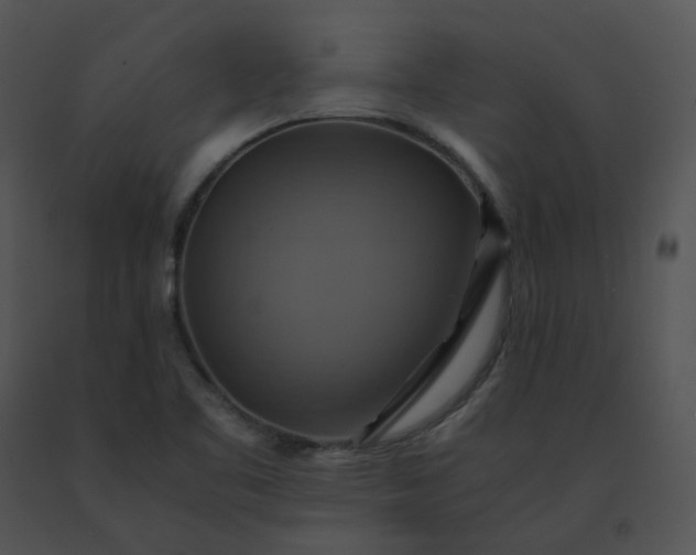 X0000091541461200708311321