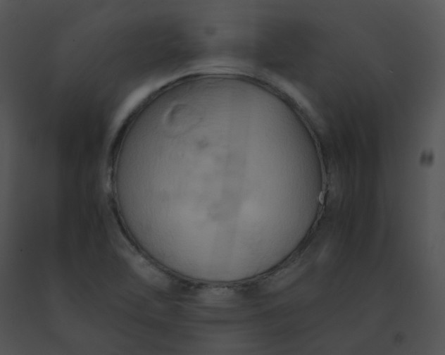 X0000091541462200708311321